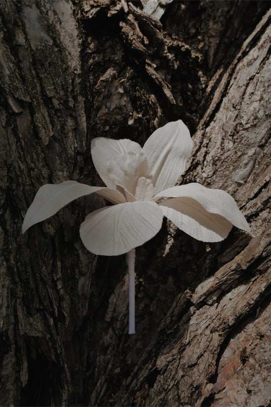 FLORA